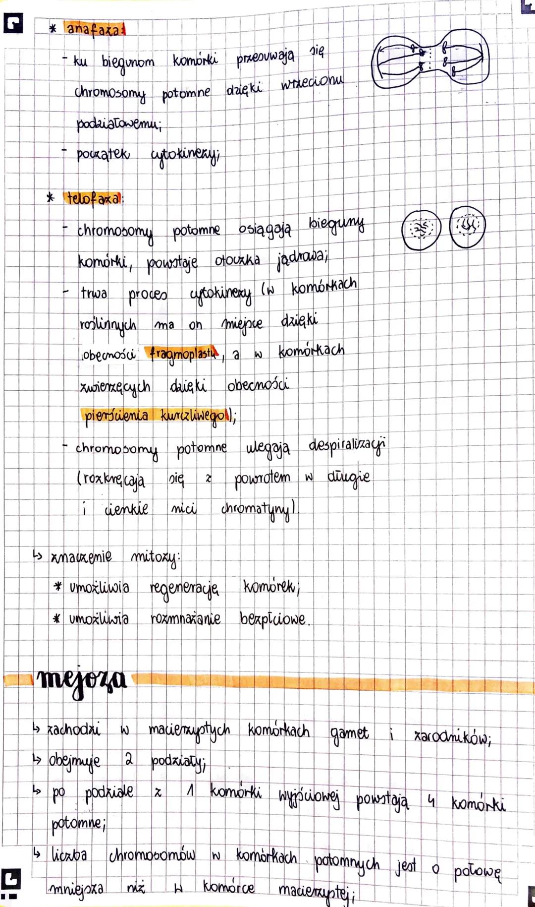 7
PODZIAŁY
KOMÓRKOWE
cykl komórkowy
↳> Interfaxa - zajmuje
Obejmuje 3 Pozy
komórki
70-90%. czasu cyklu komórkowego.
W trakcie których następ