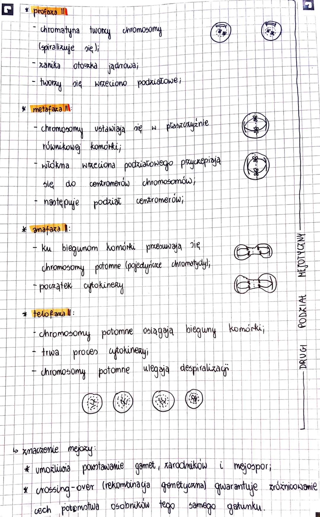 7
PODZIAŁY
KOMÓRKOWE
cykl komórkowy
↳> Interfaxa - zajmuje
Obejmuje 3 Pozy
komórki
70-90%. czasu cyklu komórkowego.
W trakcie których następ
