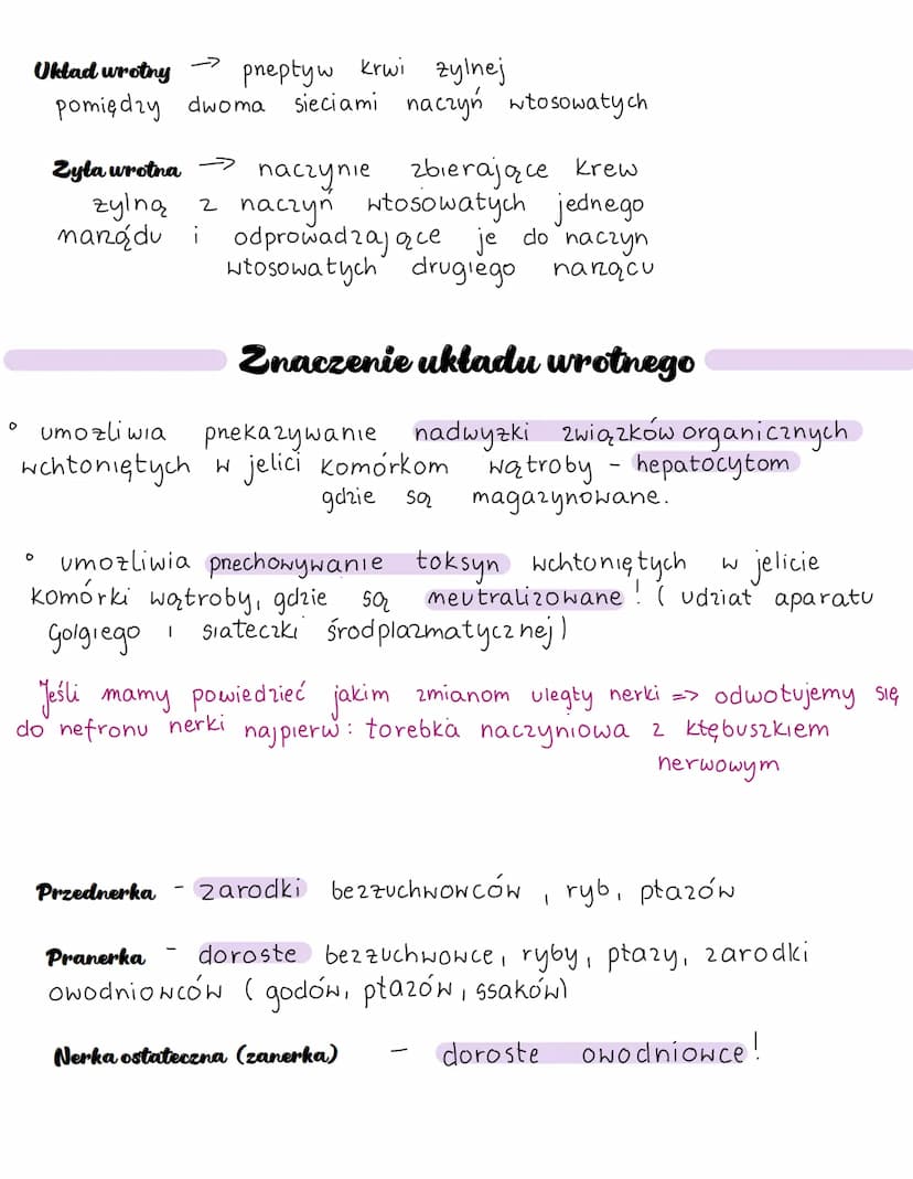 Kregowce
Najwazniejsze cechy kregowców:
-Dwuboczna symetria
-Ciało podzielone na co najmniej na trzy odcinki (głowa, tułów,
ogon)
-Parzyste 