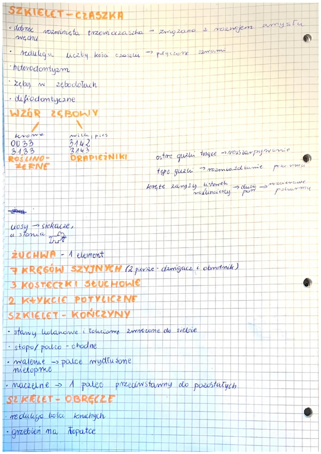 grzebień
-włosy
- gruczoły
me topatce
kolce-
SSAKI
-2 przedsionki + 2 komory.
bezjędrząste erytrocyty 4 tylko sseli
3 kostecali stuchowe
pot