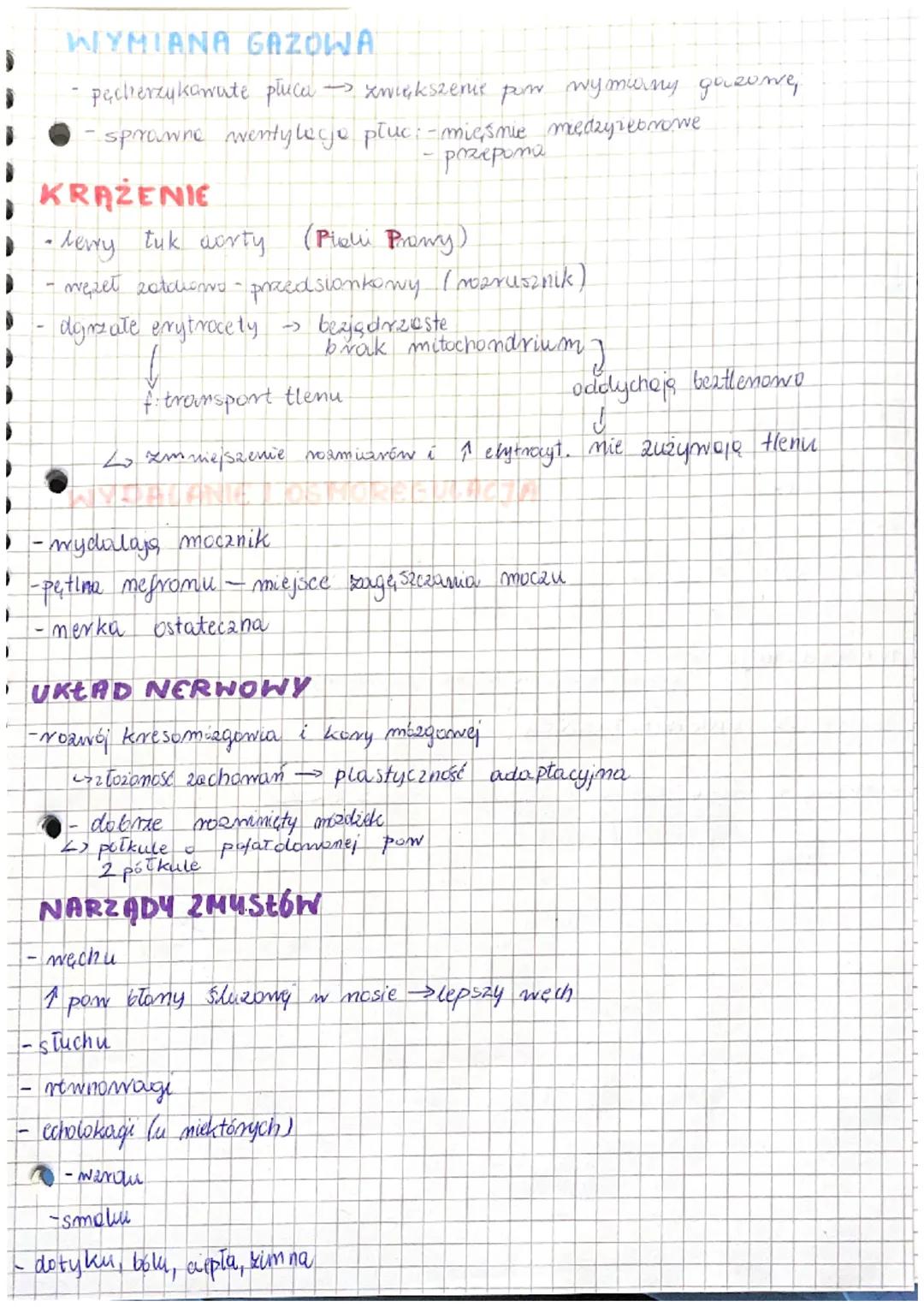 grzebień
-włosy
- gruczoły
me topatce
kolce-
SSAKI
-2 przedsionki + 2 komory.
bezjędrząste erytrocyty 4 tylko sseli
3 kostecali stuchowe
pot