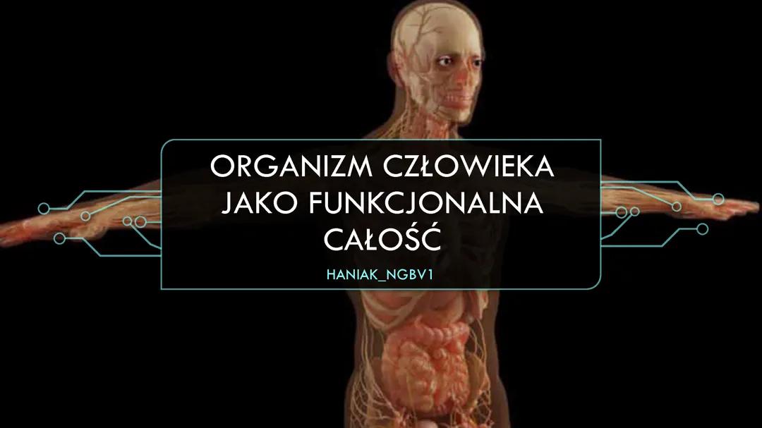 PODSUMOWANIE "ORGANIZM CZŁOWIEKA JAKO FUNKCJONALNA CAŁOŚĆ" BIOLOGIA 3 ZAKRES ROZSZERZONY