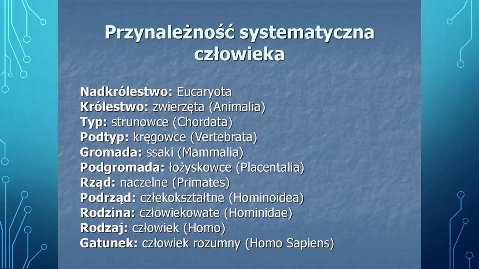 ORGANIZM CZŁOWIEKA
JAKO FUNKCJONALNA
CAŁOŚĆ
HANIAK_NGBV1 Przynależność systematyczna
człowieka
Nadkrólestwo: Eucaryota
Królestwo: zwierzęta 