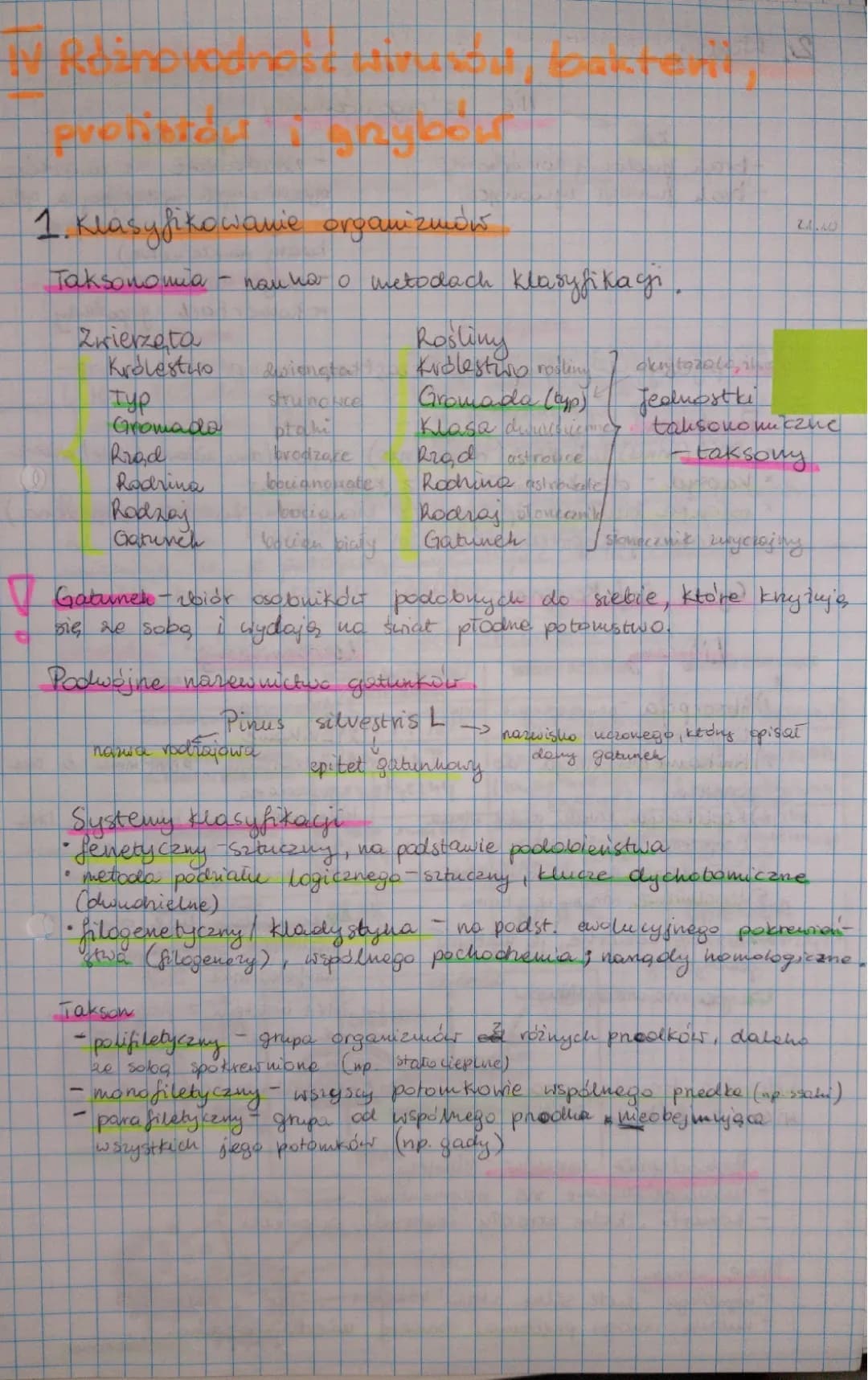 Klasyfikacja organizmów klasa 5: Systemy i Królestwa