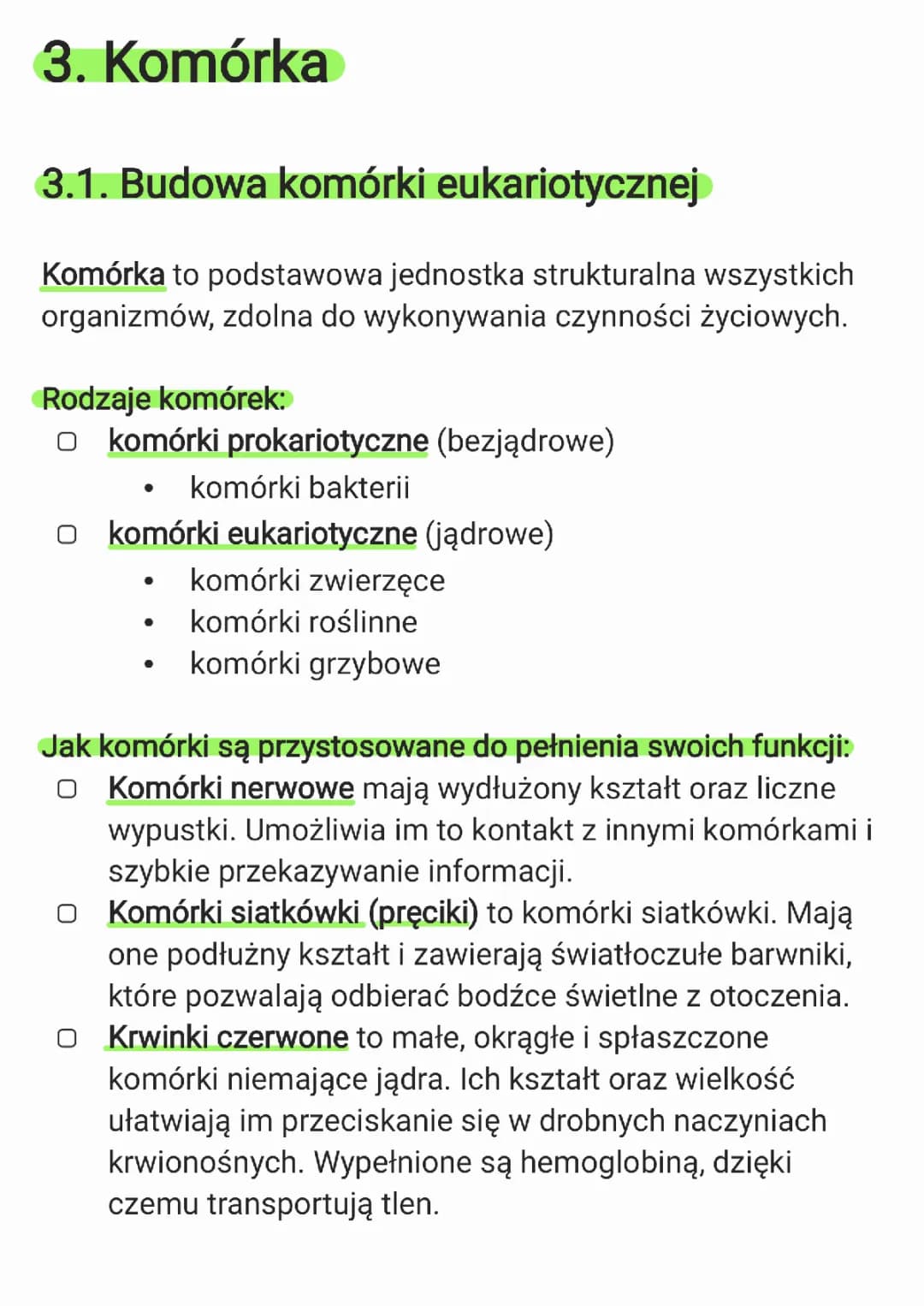 Budowa komórki eukariotycznej i jej funkcje – Notatka i test