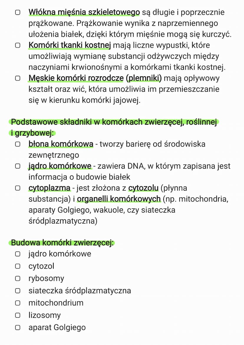 3. Komórka
3.1. Budowa komórki eukariotycznej
Komórka to podstawowa jednostka strukturalna wszystkich
organizmów, zdolna do wykonywania czyn