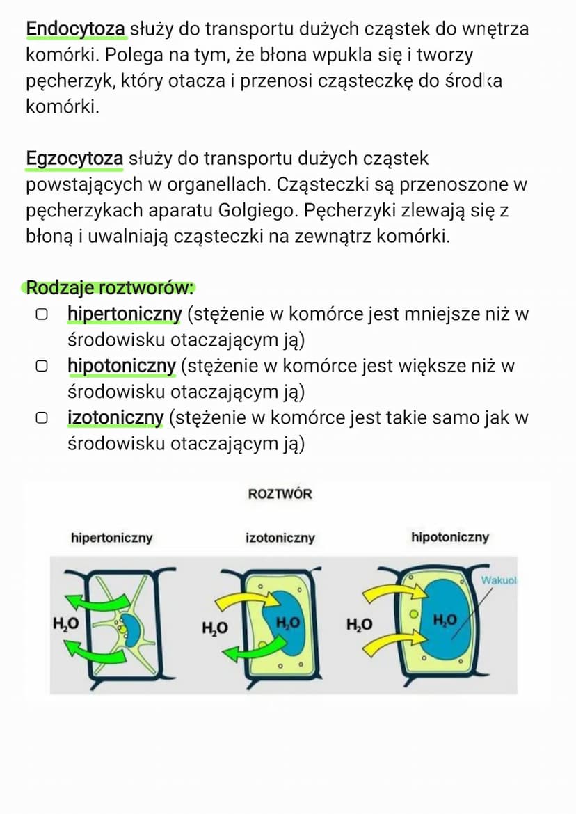 3. Komórka
3.1. Budowa komórki eukariotycznej
Komórka to podstawowa jednostka strukturalna wszystkich
organizmów, zdolna do wykonywania czyn