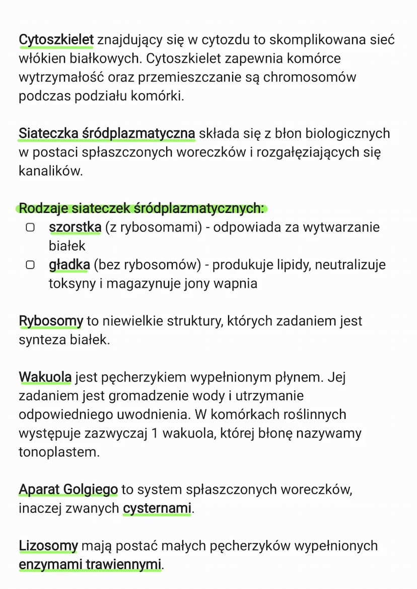 3. Komórka
3.1. Budowa komórki eukariotycznej
Komórka to podstawowa jednostka strukturalna wszystkich
organizmów, zdolna do wykonywania czyn