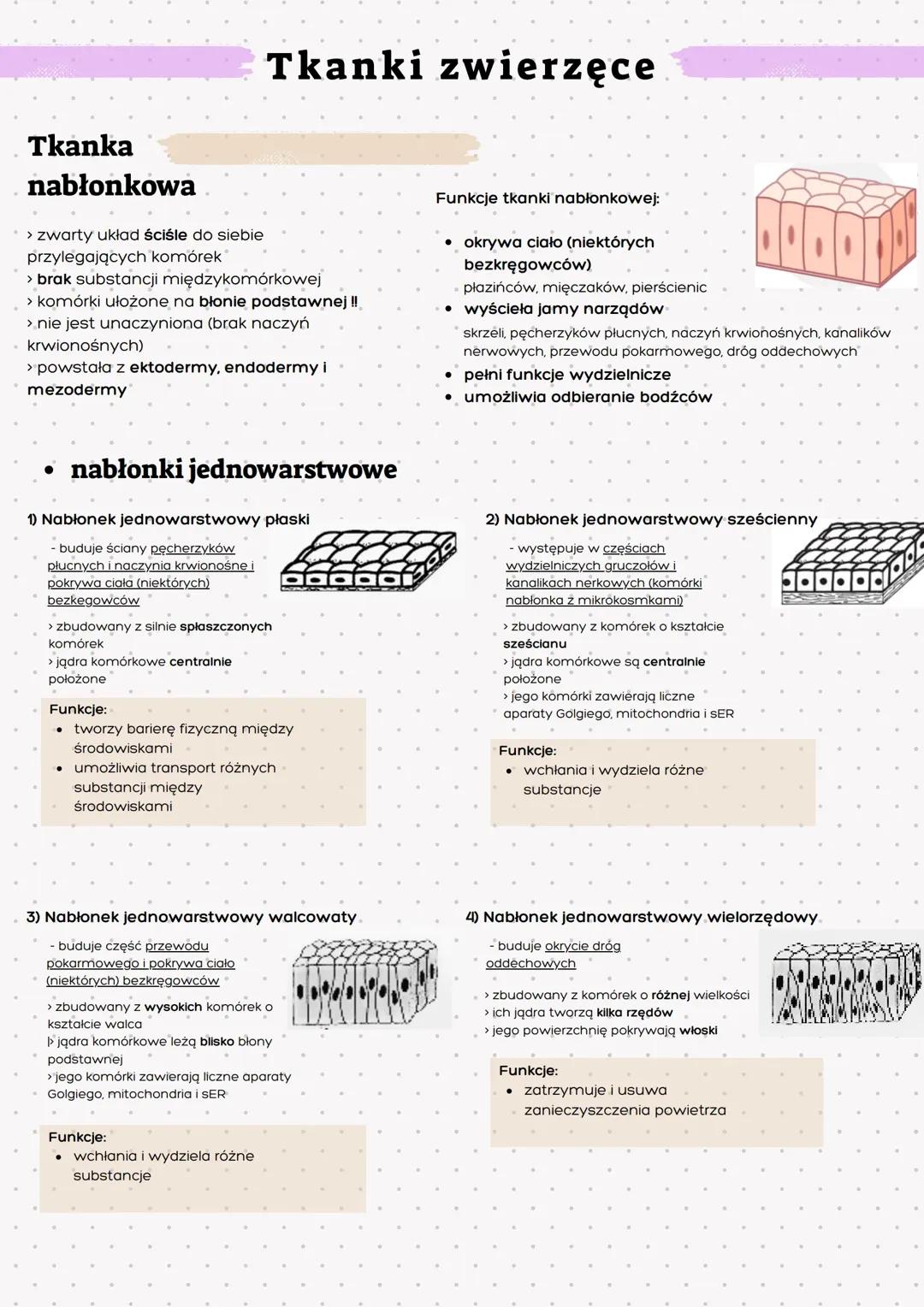 Tkanki zwierzęce