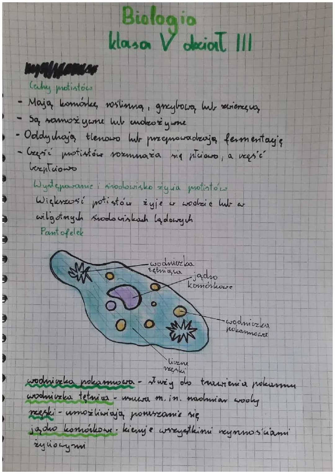 Biologia klasa 5 porosty,grzyby i protisty