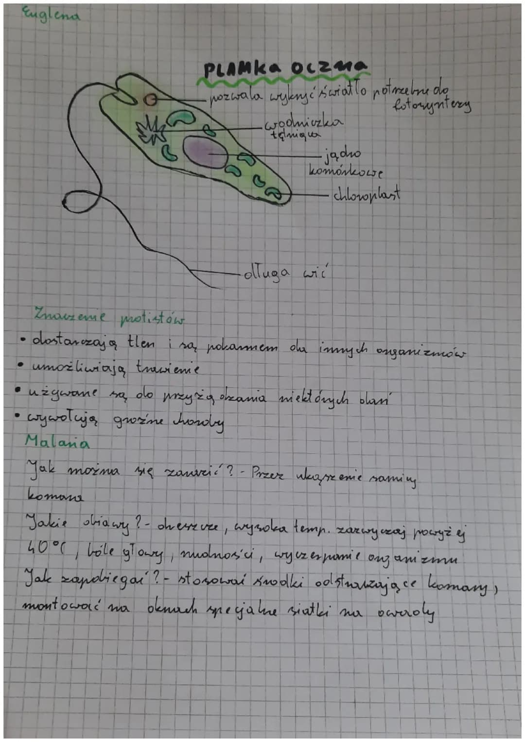 Biologio
klasa V obciał 111
!!!
mycomm.com
Cahy protistów
Mają komórke rostinną, grzybową lub zwierzę wa
Są samoz ywne lub inozożywone
- Odd