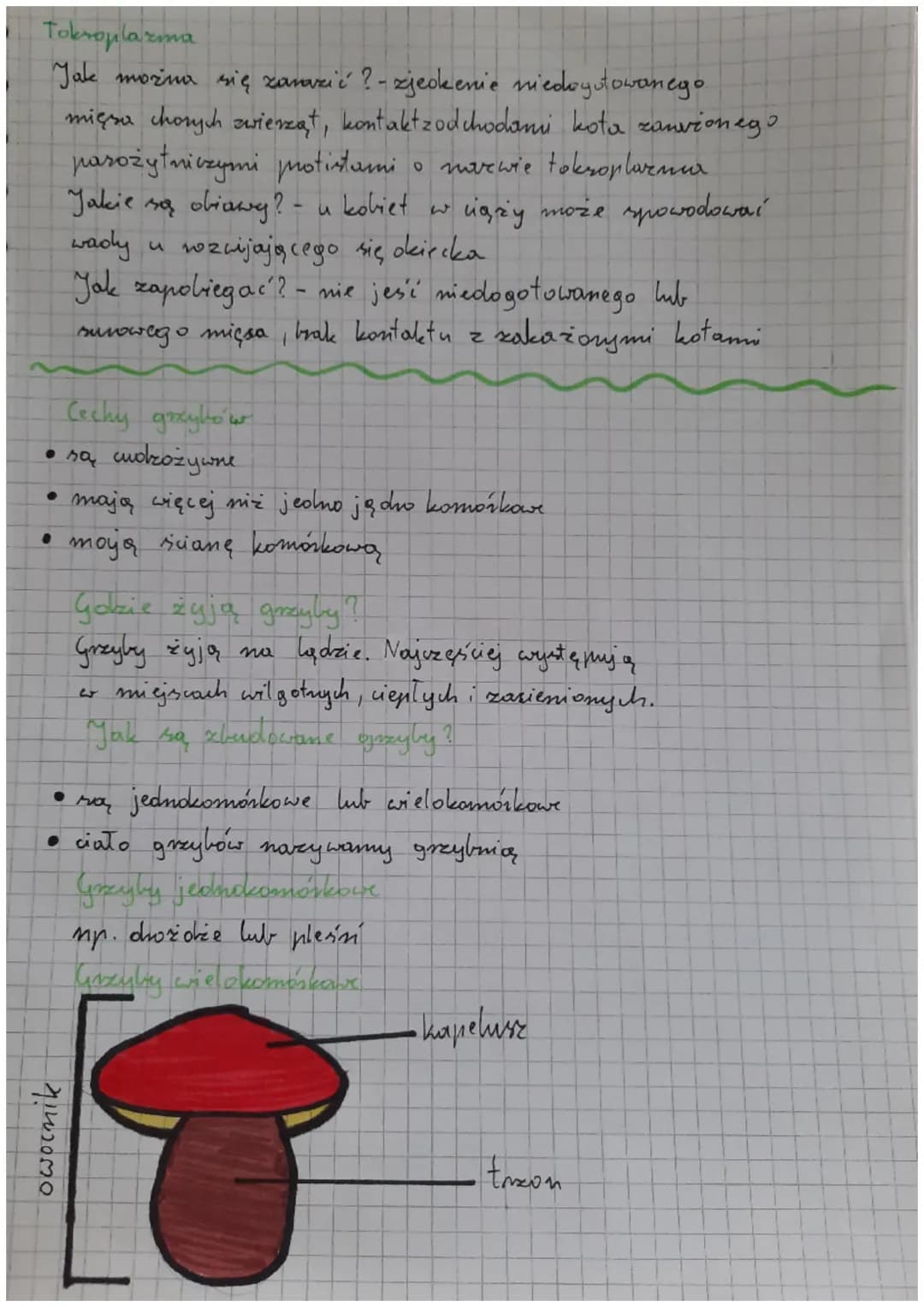 Biologio
klasa V obciał 111
!!!
mycomm.com
Cahy protistów
Mają komórke rostinną, grzybową lub zwierzę wa
Są samoz ywne lub inozożywone
- Odd