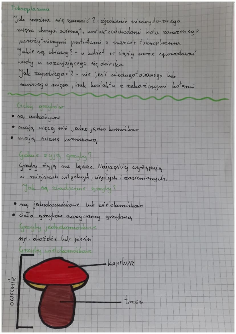 Biologio
klasa V obciał 111
!!!
mycomm.com
Cahy protistów
Mają komórke rostinną, grzybową lub zwierzę wa
Są samoz ywne lub inozożywone
- Odd