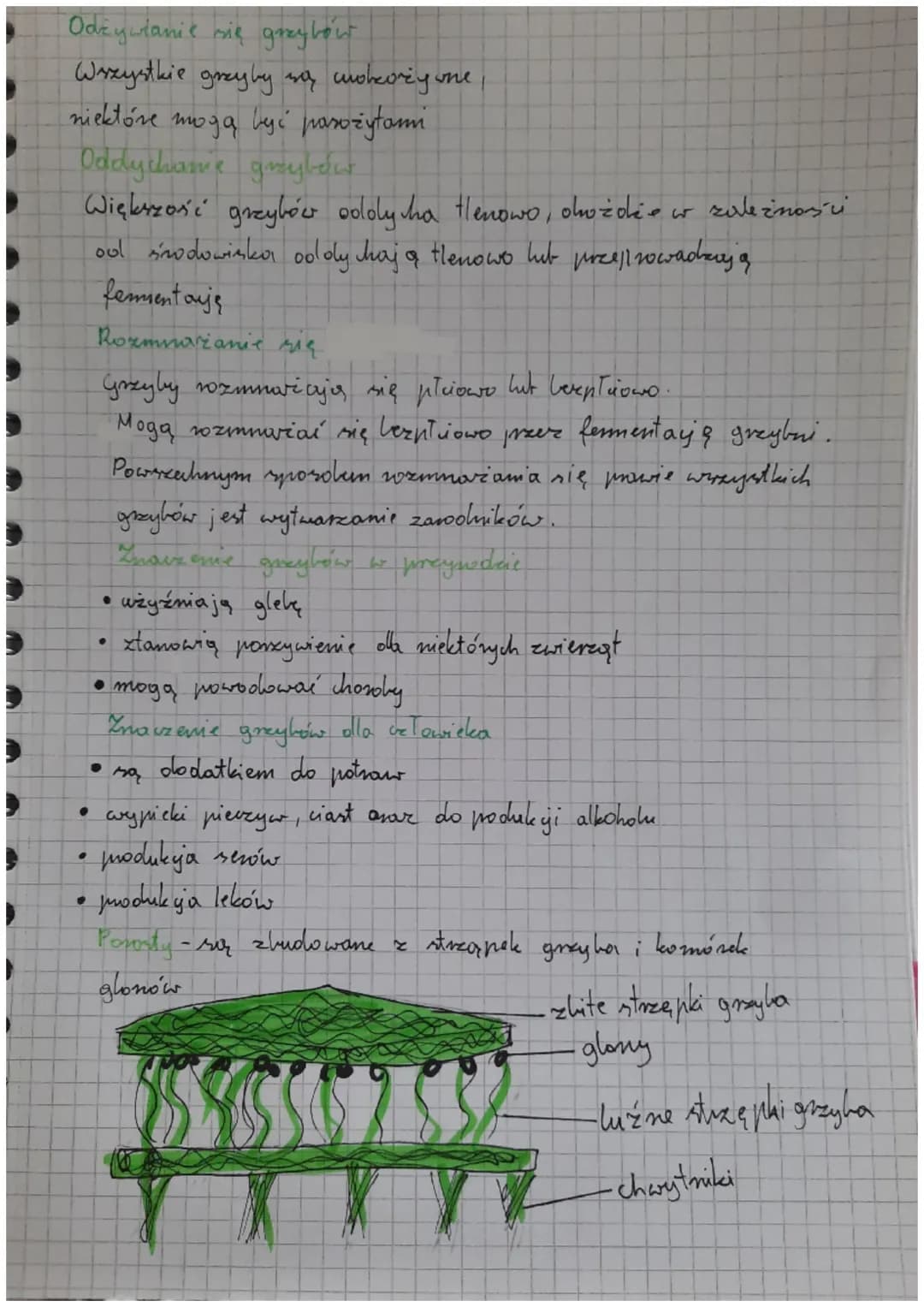 Biologio
klasa V obciał 111
!!!
mycomm.com
Cahy protistów
Mają komórke rostinną, grzybową lub zwierzę wa
Są samoz ywne lub inozożywone
- Odd
