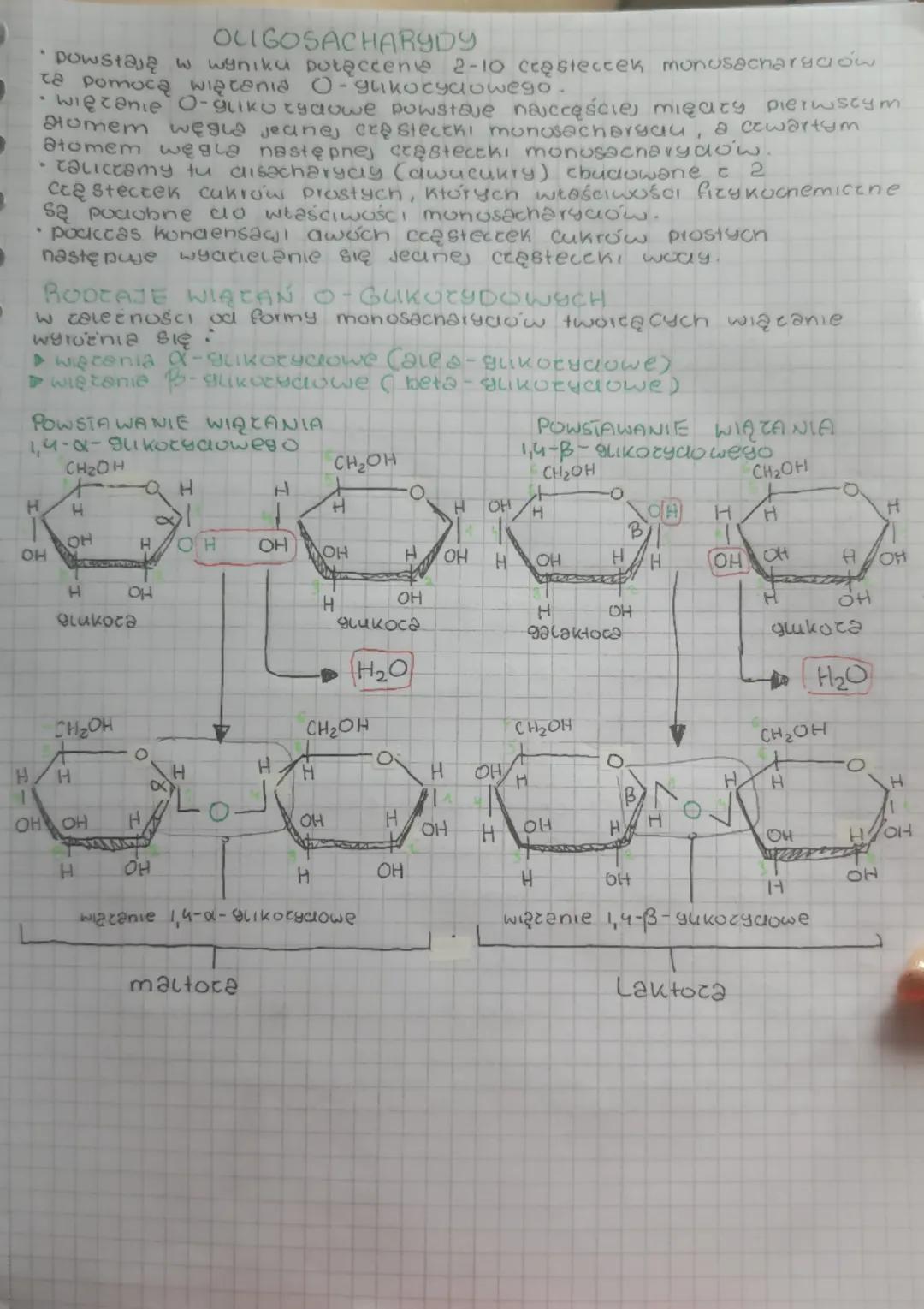 BUDOWA I FUNKCJE SACHARYDOW
WEGLOWODANY (SACHARYDY)
*u roślin stanowią 80% suche, masy
•u zwierząt stanowią 170 suchej
DEIELIMS JE NA
monosa