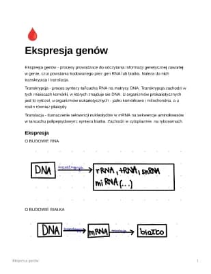 Know Ekspresja genów thumbnail