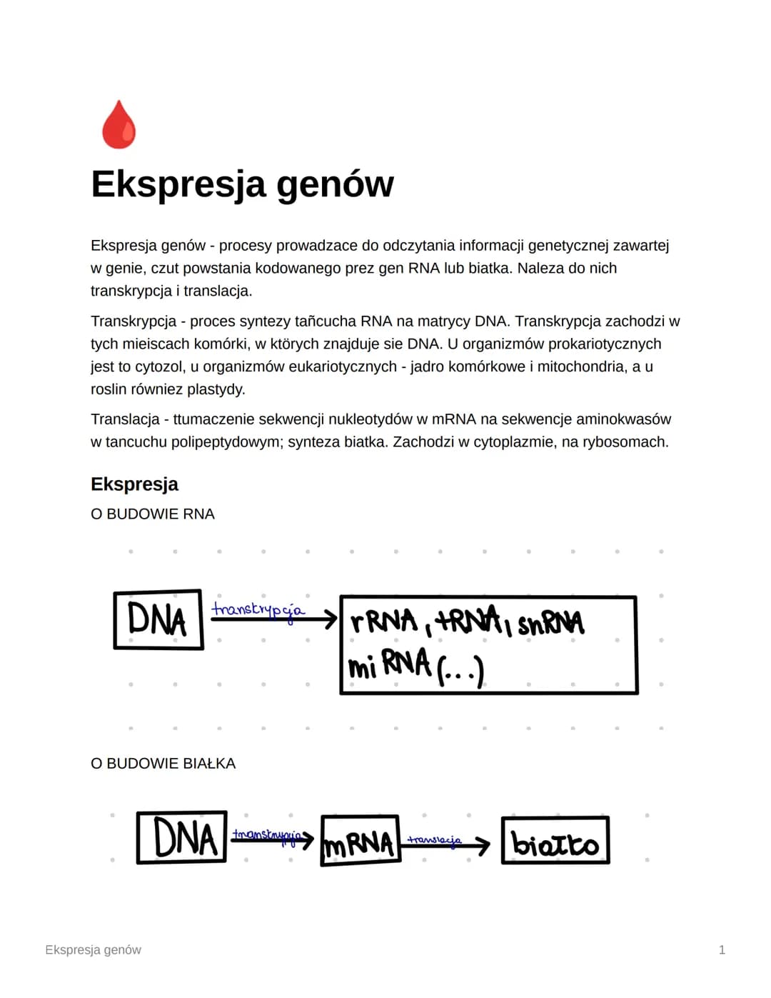 Ekspresja genów
Ekspresja genów - procesy prowadzace do odczytania informacji genetycznej zawartej
w genie, czut powstania kodowanego prez g