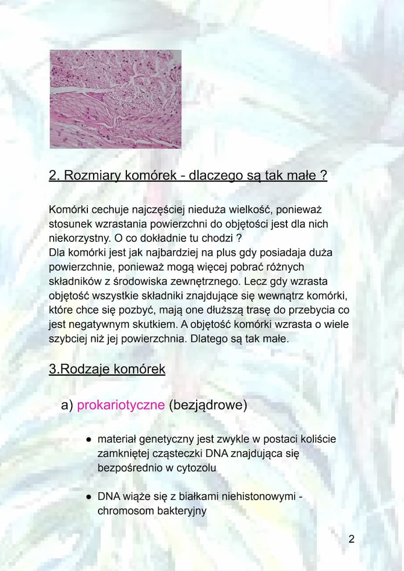 Podstawowe informacje o komórkach
1.Poziomy organizacji komórkowej :
a) organizmy jednokomórkowe - zbudowane z jednej
komórki, która pełni w