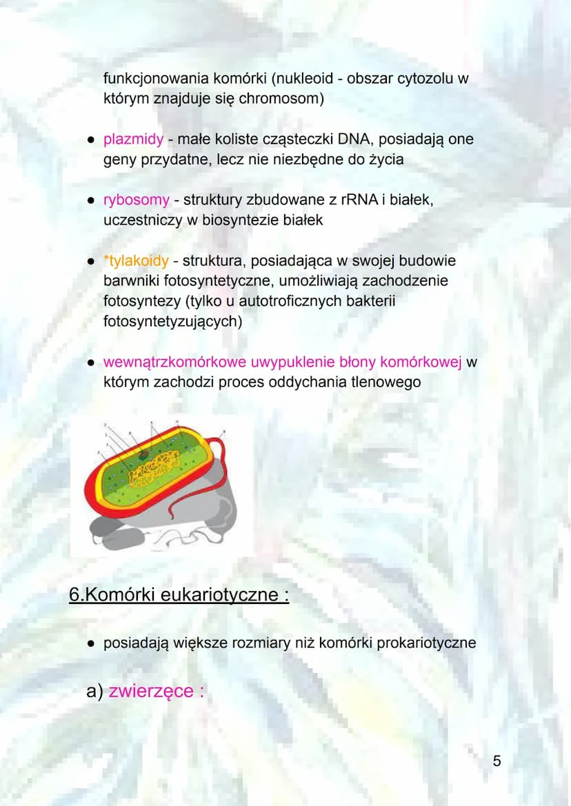 Podstawowe informacje o komórkach
1.Poziomy organizacji komórkowej :
a) organizmy jednokomórkowe - zbudowane z jednej
komórki, która pełni w