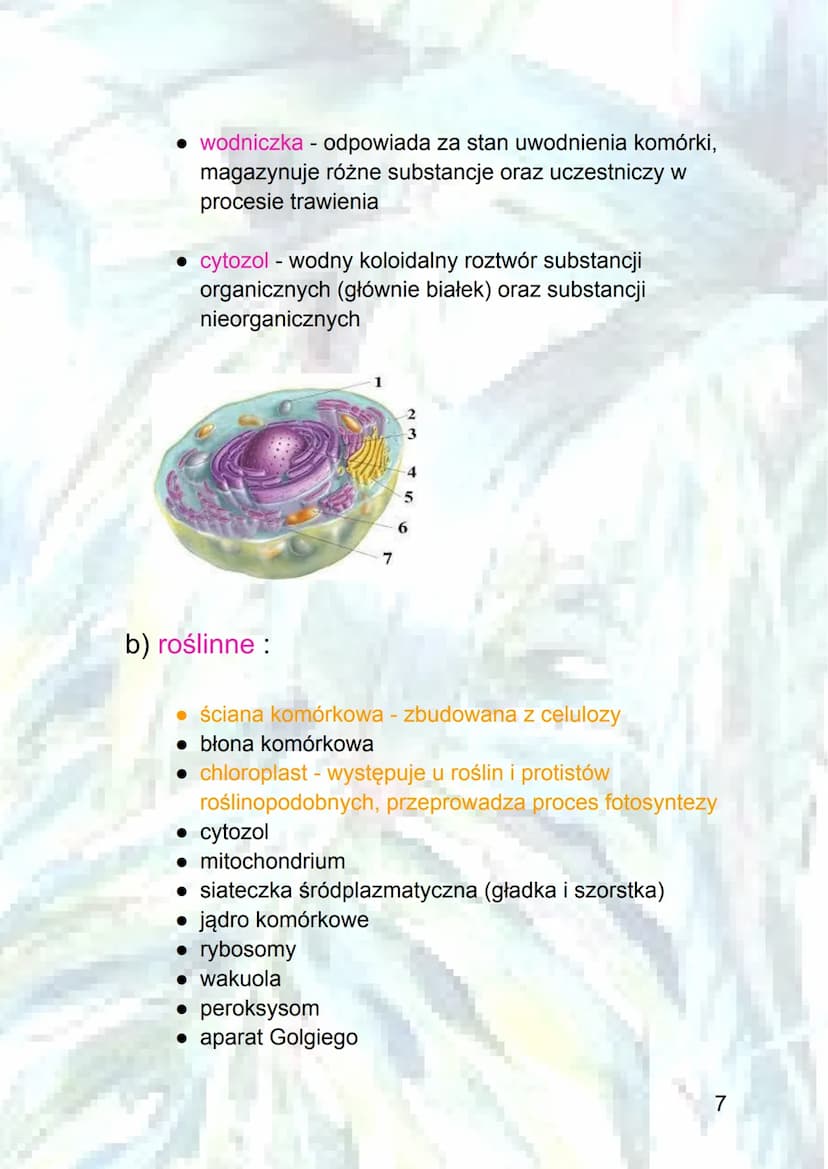 Podstawowe informacje o komórkach
1.Poziomy organizacji komórkowej :
a) organizmy jednokomórkowe - zbudowane z jednej
komórki, która pełni w