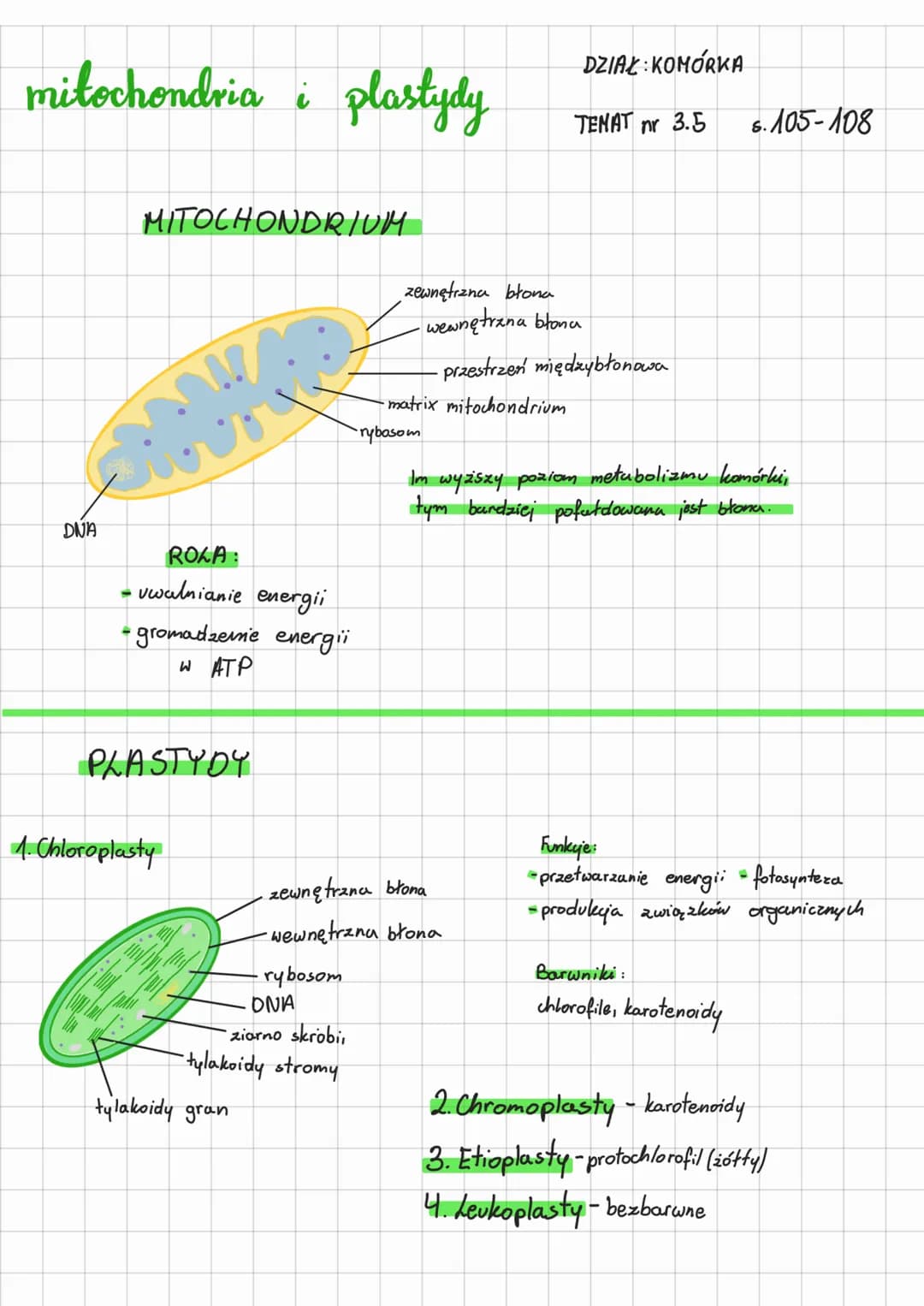 mitochondria i plastydy
DNA
MITOCHONDRIUM
N
ROLA:
uwalnianie energii
- gromadzenie energii
W ATP
PLASTYDY
1. Chloroplasty
tylakoidy gran
ryb