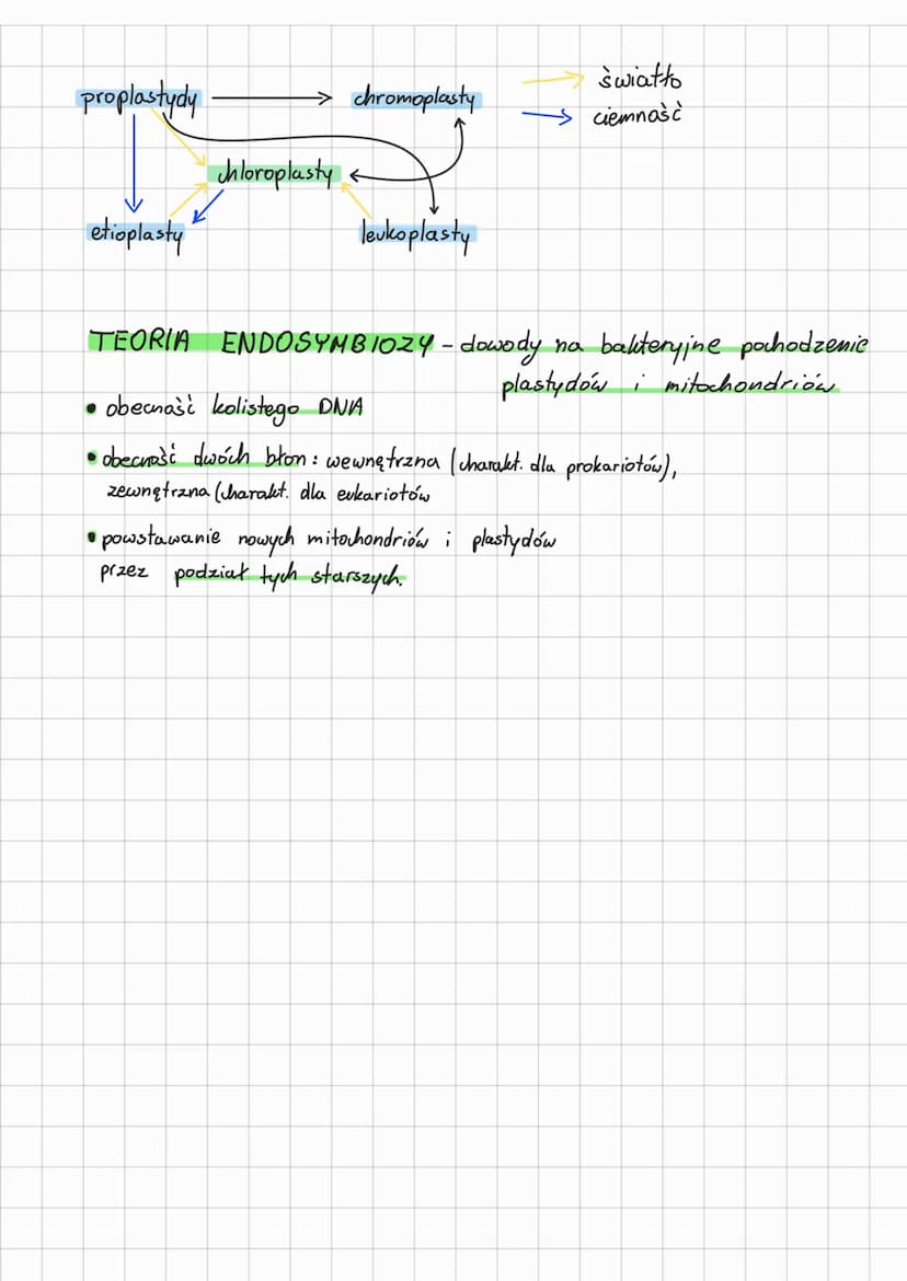 mitochondria i plastydy
DNA
MITOCHONDRIUM
N
ROLA:
uwalnianie energii
- gromadzenie energii
W ATP
PLASTYDY
1. Chloroplasty
tylakoidy gran
ryb
