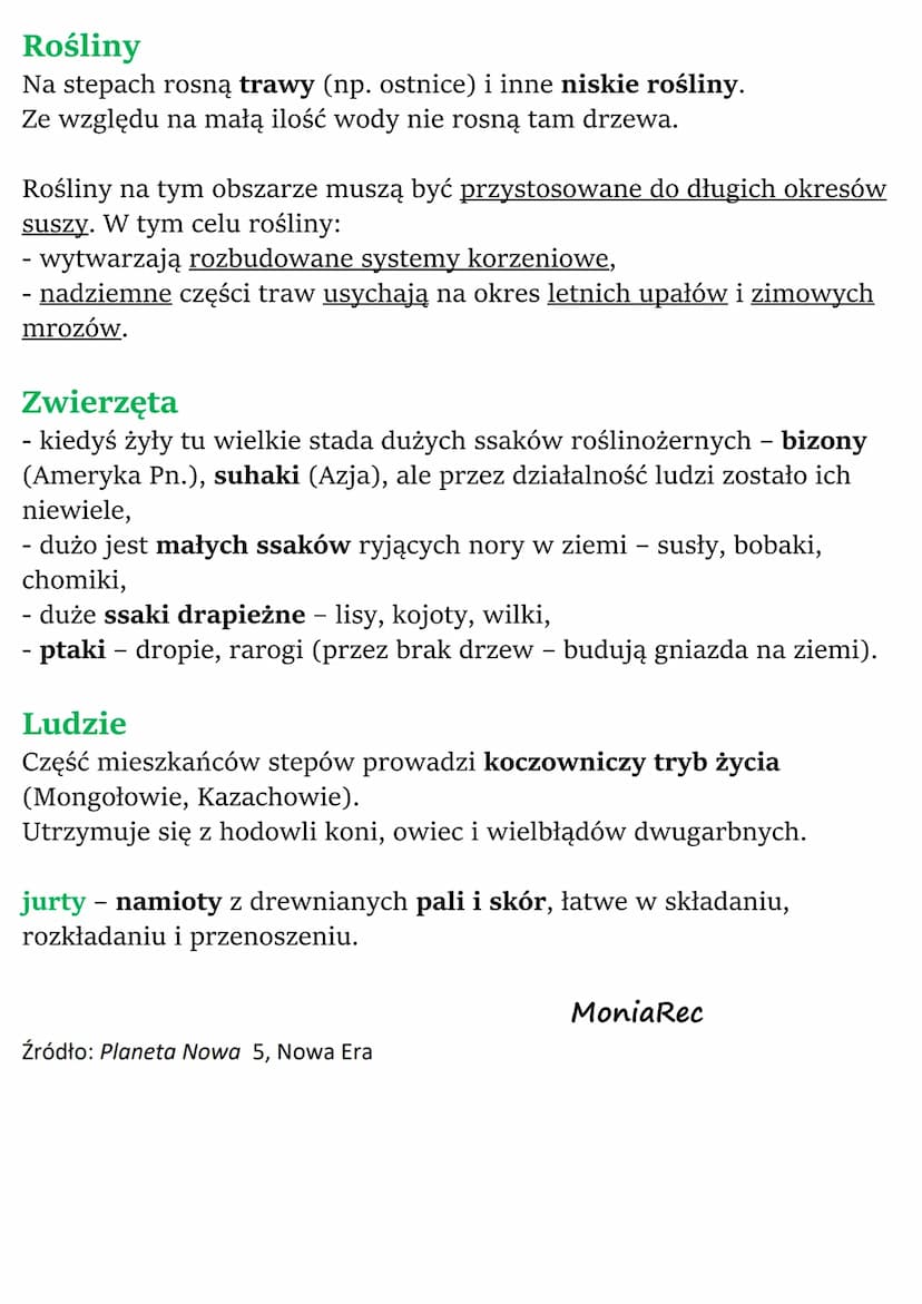 Krajobraz sawanny i stepu
Sawanny i stepy to rozległe obszary porośnięte trawami. Różni je
klimat.
Sawanna
Położenie
Sawanny znajdują się na