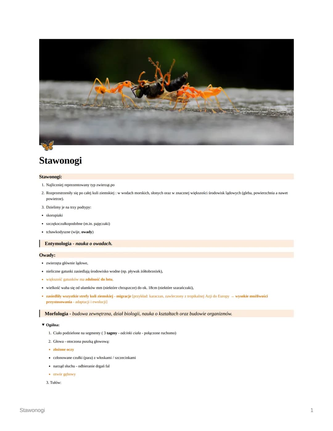 Stawonogi
Stawonogi:
1. Najliczniej reprezentowany typ zwierząt.po
2. Rozprzestrzeniły się po całej kuli ziemskiej: w wodach morskich, słony