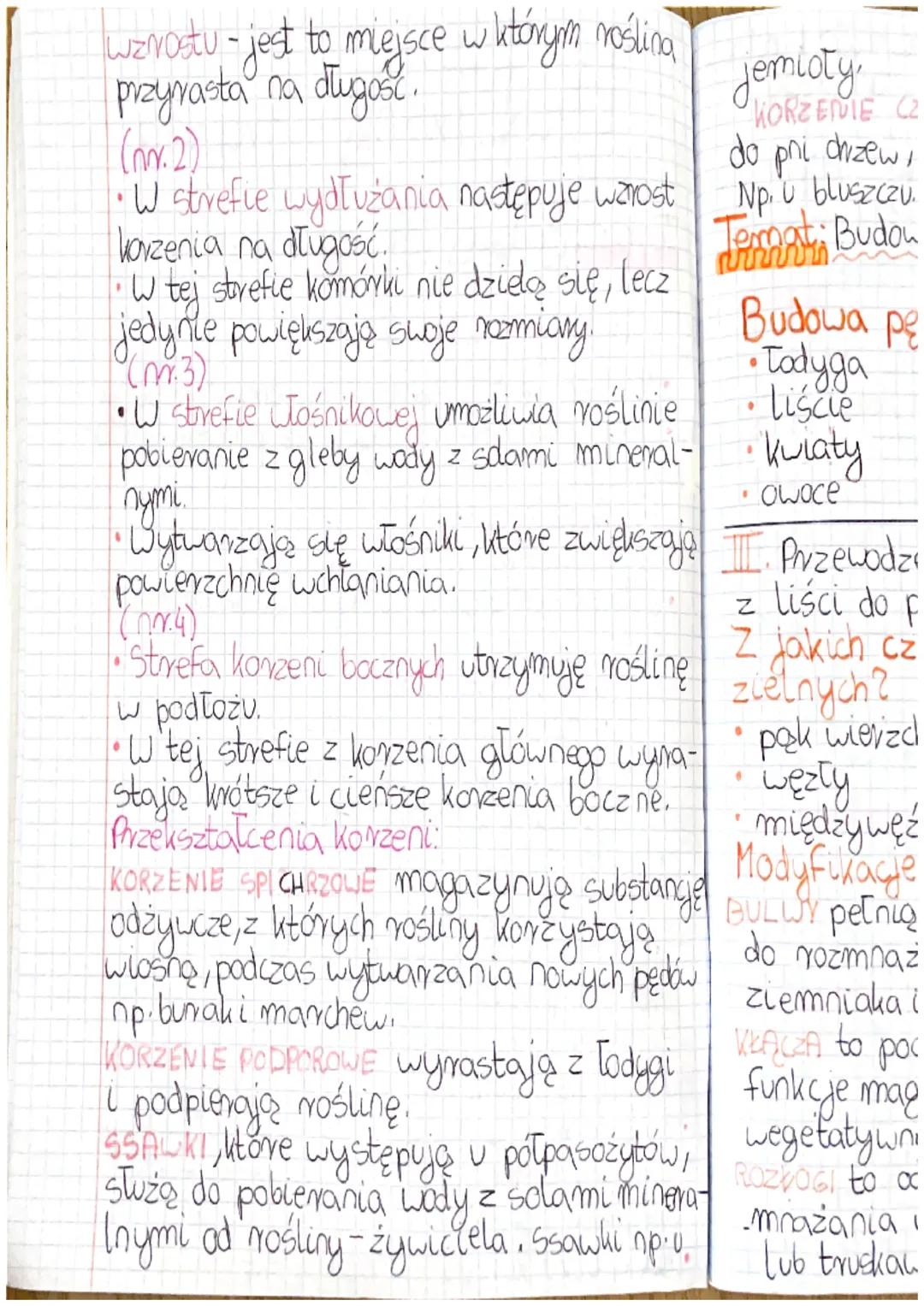 # Dział: Thanki i organy
voślinne
# Jamati Budowa i funkcję korzenia.
Co to jest korzeń?
*   Korzeń jest to podziemny organ rośliny.
*   Jak