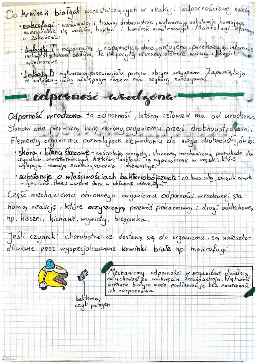 Baskowa i funk
cionosunie sulklack
Vodpornościowego
du
Odporność zdolność organizmu do obrony przed czynnikami
chorobotwórczymi. Dzielimy ją