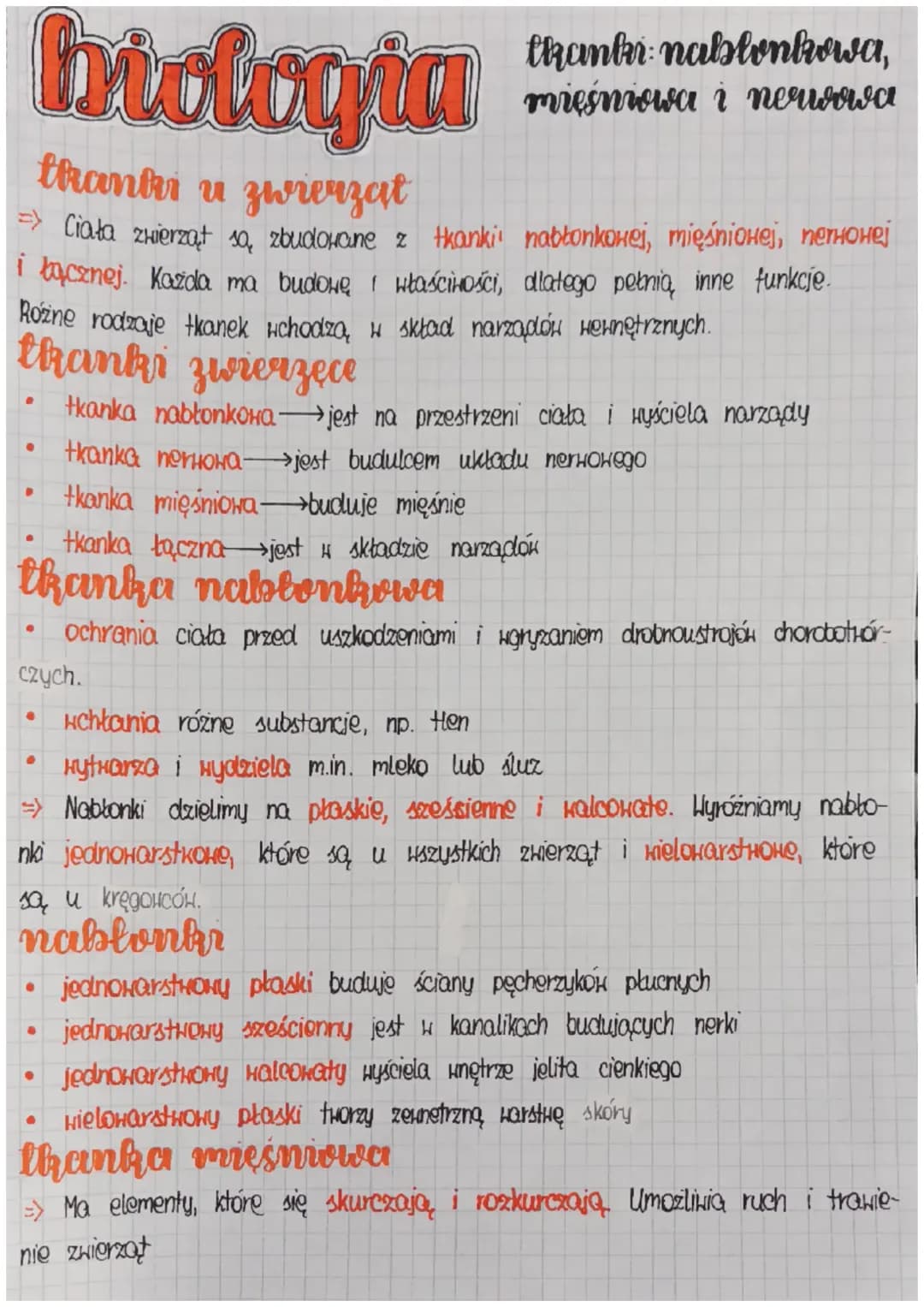 Tkanki: nabłonkowa, mięśniowa i nerwowa nowa era klasa 6