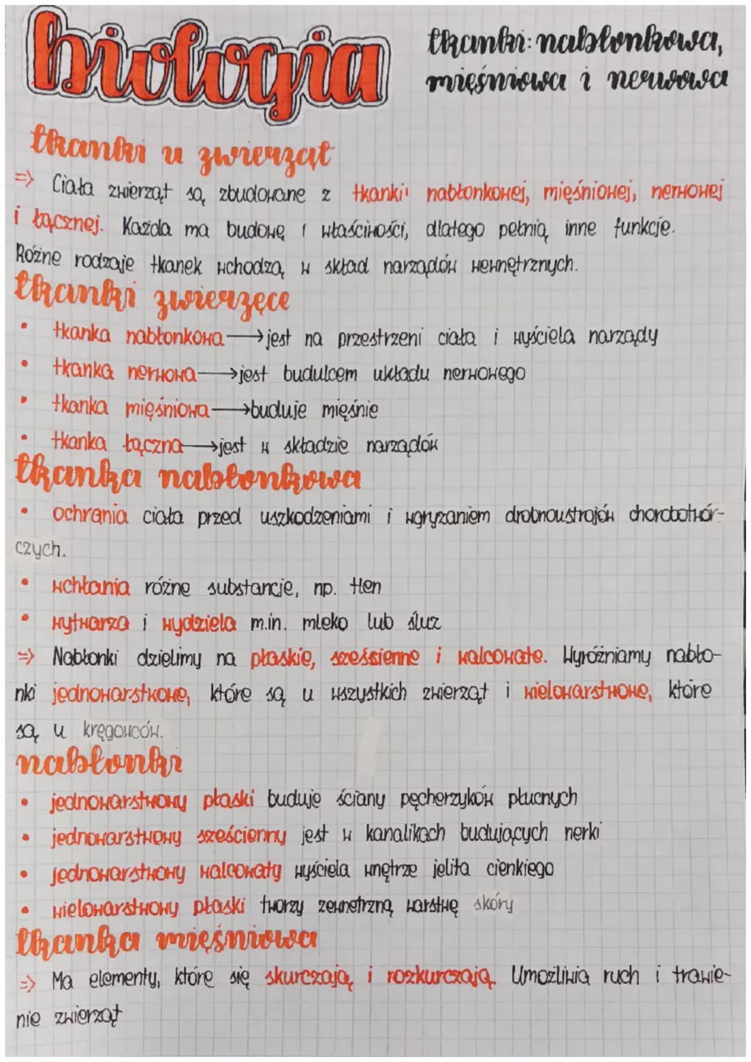biologia
tkanki u zwierzat
=> Ciała zwierzął są zbudowane z tkanki nabłonkowej, mięśniowej, nerwowej
i łącznej. Każda ma budowęI właściności