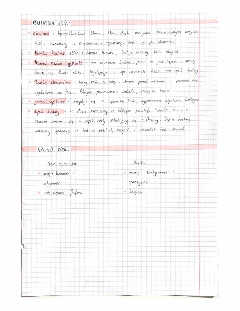 سکلفت همه
szkielet osiowy
• cześć bienma, miezdolma do samodzielnego poruszamia
• składa się zwykle
2 206 kości
dzieli się go
ma szkielet as