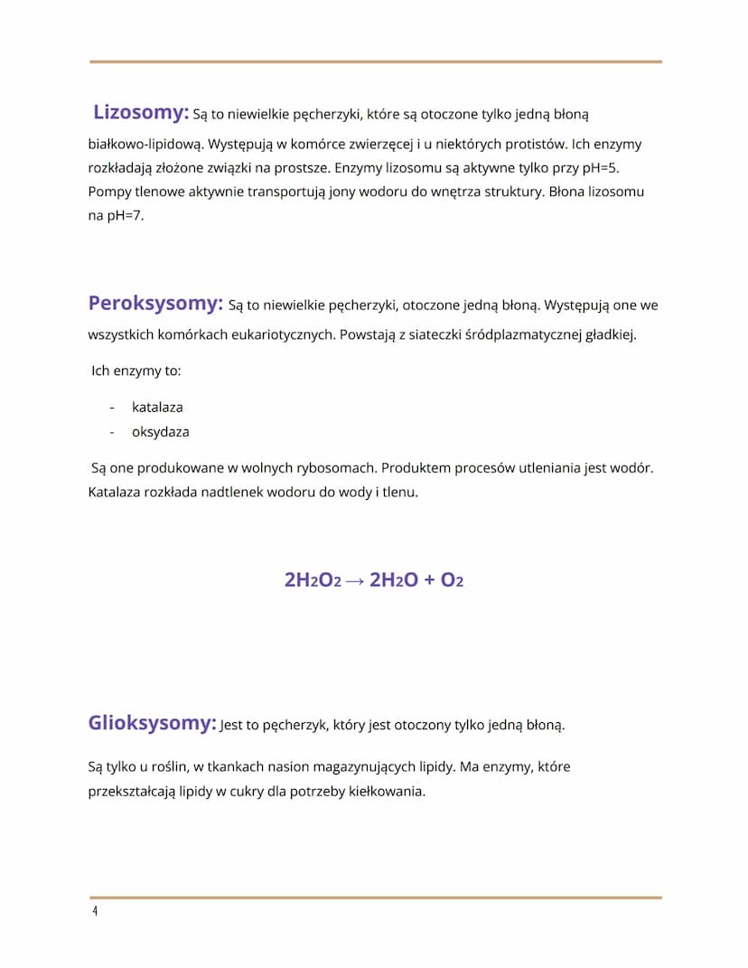 
<h2 id="wymieorganellekomrkowe">Wymień organelle komórkowe</h2>
<p>Organelle komórkowe to:</p>
<ul>
<li>RER/RES</li>
<li>Rybosomy</li>
<li>