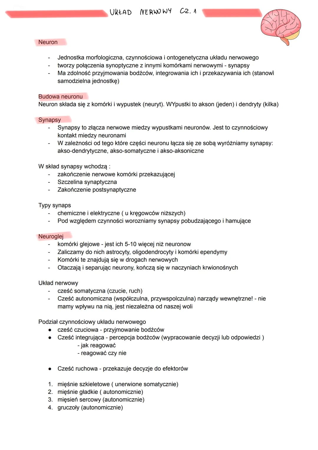 Neuron
Jednostka morfologiczna, czynnościowa i ontogenetyczna układu nerwowego
tworzy połączenia synoptyczne z innymi komórkami nerwowymi - 