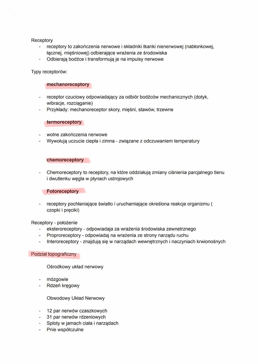 Neuron
Jednostka morfologiczna, czynnościowa i ontogenetyczna układu nerwowego
tworzy połączenia synoptyczne z innymi komórkami nerwowymi - 