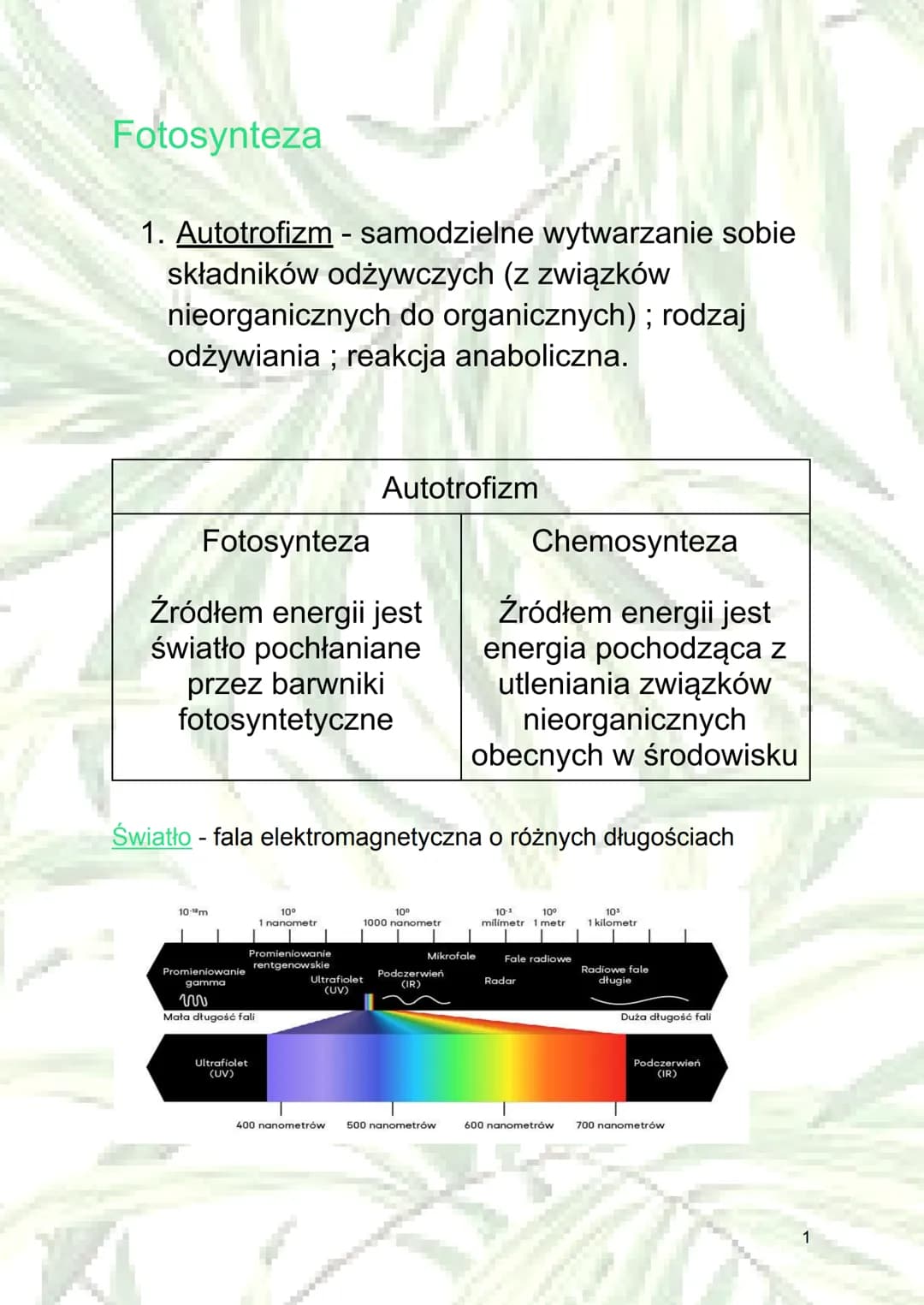 Fotosynteza
1. Autotrofizm - samodzielne wytwarzanie sobie
składników odżywczych (z związków
nieorganicznych do organicznych); rodzaj
odżywi