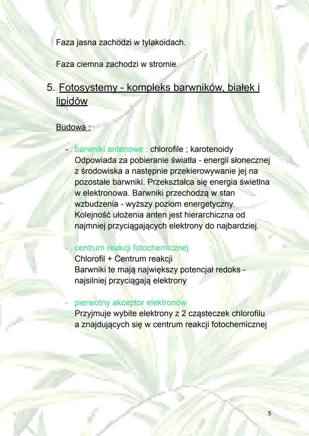 Fotosynteza
1. Autotrofizm - samodzielne wytwarzanie sobie
składników odżywczych (z związków
nieorganicznych do organicznych); rodzaj
odżywi