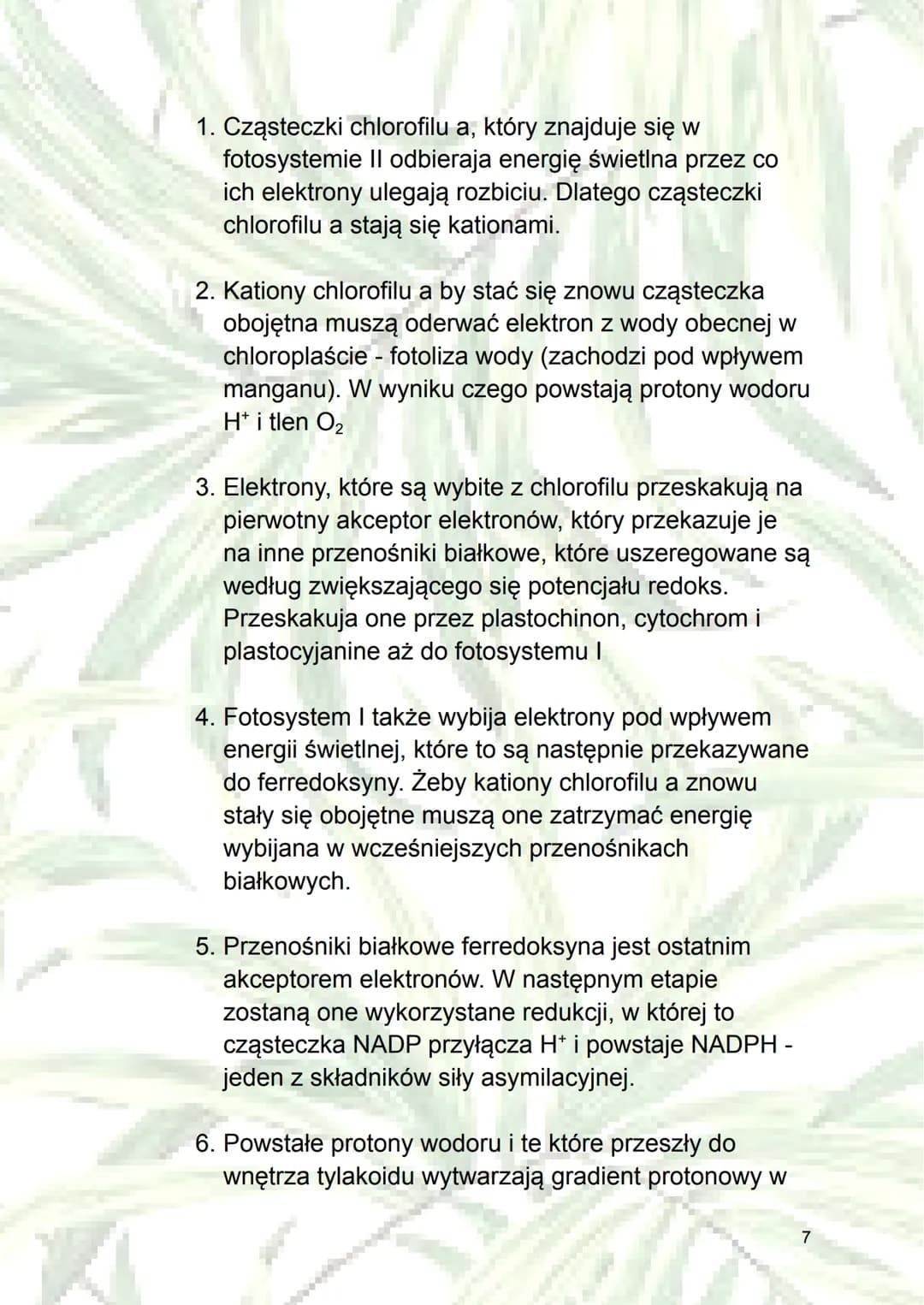 Fotosynteza
1. Autotrofizm - samodzielne wytwarzanie sobie
składników odżywczych (z związków
nieorganicznych do organicznych); rodzaj
odżywi