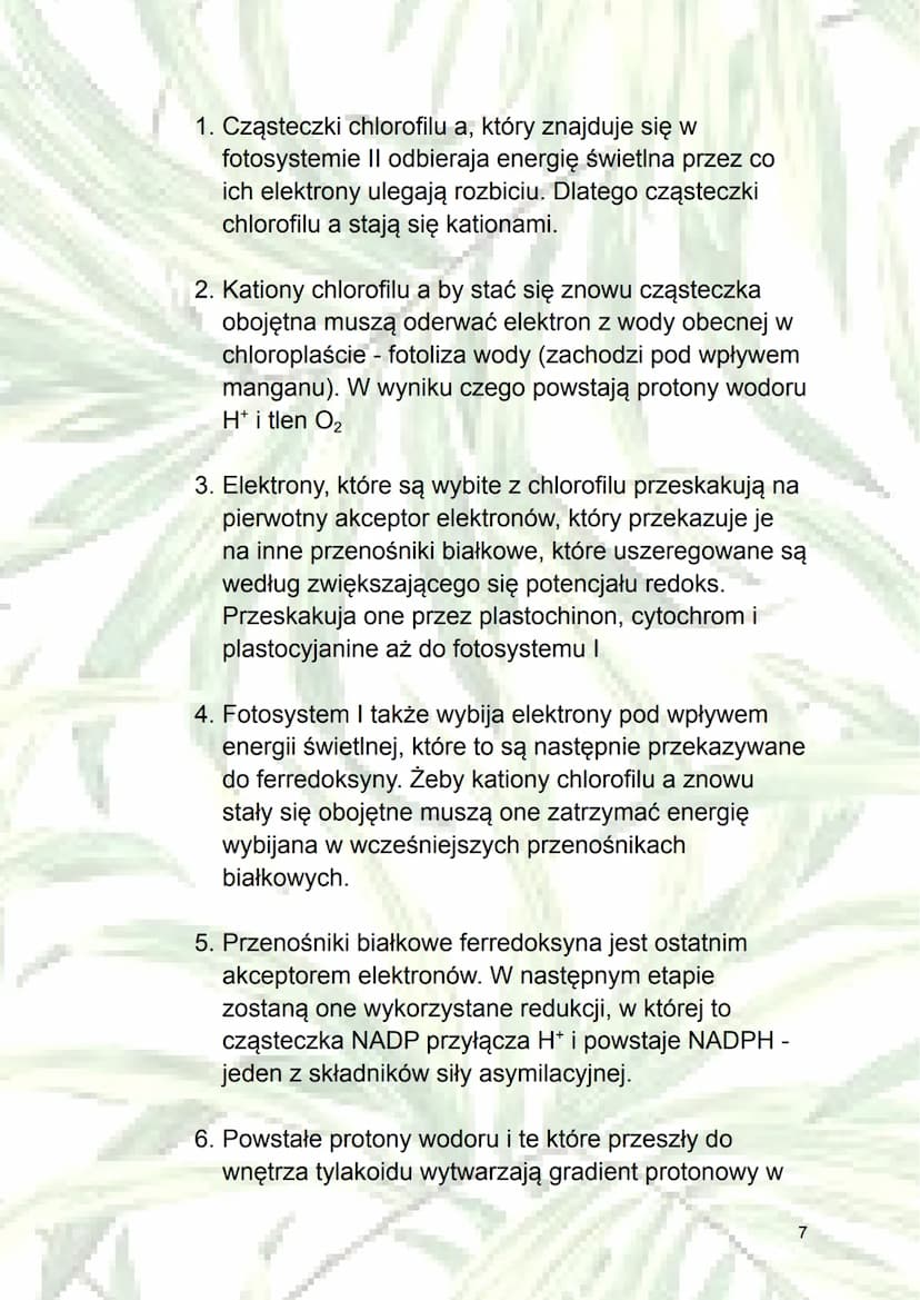Fotosynteza
1. Autotrofizm - samodzielne wytwarzanie sobie
składników odżywczych (z związków
nieorganicznych do organicznych); rodzaj
odżywi