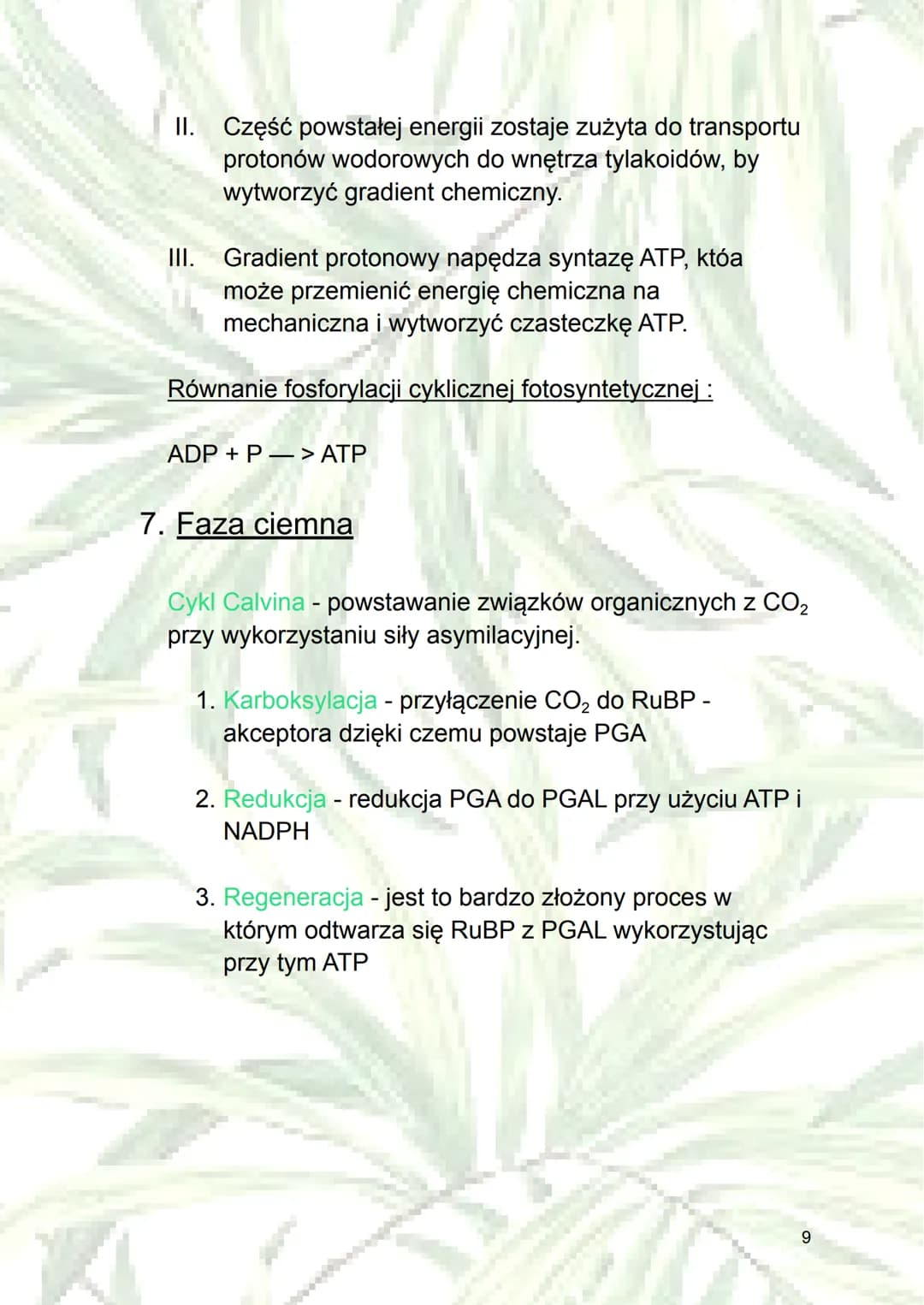 Fotosynteza
1. Autotrofizm - samodzielne wytwarzanie sobie
składników odżywczych (z związków
nieorganicznych do organicznych); rodzaj
odżywi