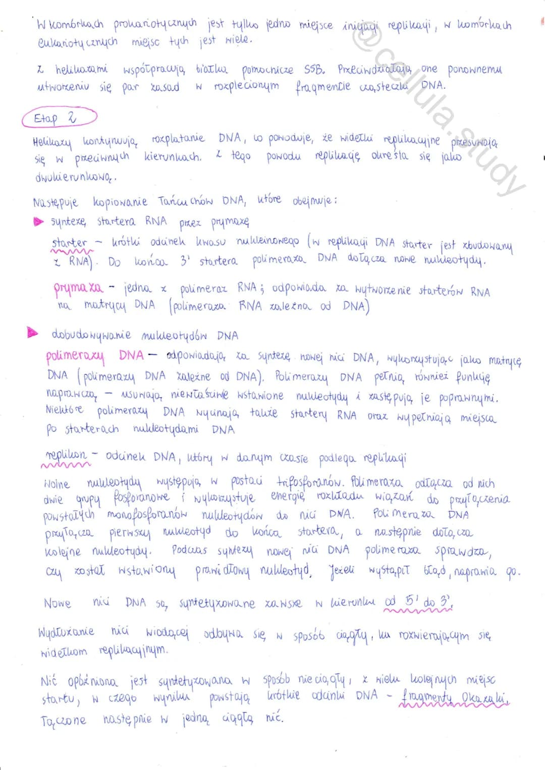 Replikacja DNA
↓
proces powielania DNA prowadzący do wytworzenia dwóch
identycznych z cząsteczko, macierzystą
个个
сеспи неринаст DNA
↳ Zachod