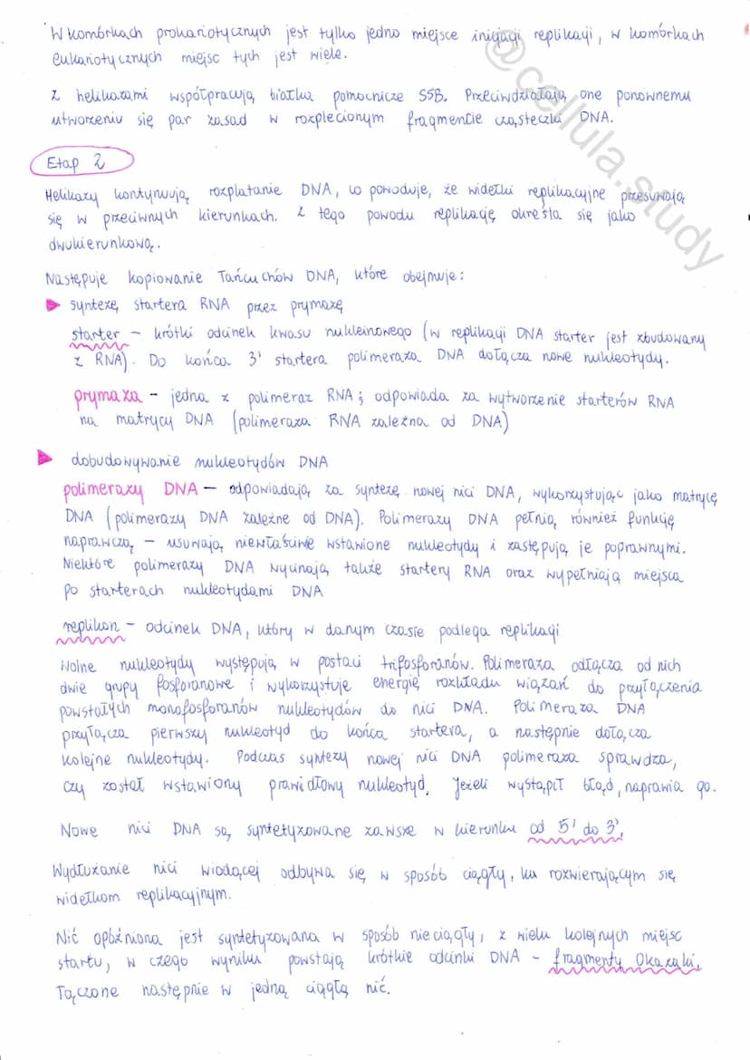 Replikacja DNA
↓
proces powielania DNA prowadzący do wytworzenia dwóch
identycznych z cząsteczko, macierzystą
个个
сеспи неринаст DNA
↳ Zachod