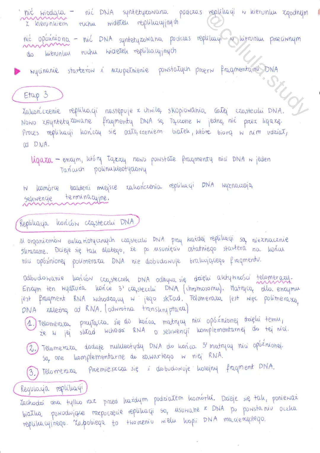 Replikacja DNA
↓
proces powielania DNA prowadzący do wytworzenia dwóch
identycznych z cząsteczko, macierzystą
个个
сеспи неринаст DNA
↳ Zachod
