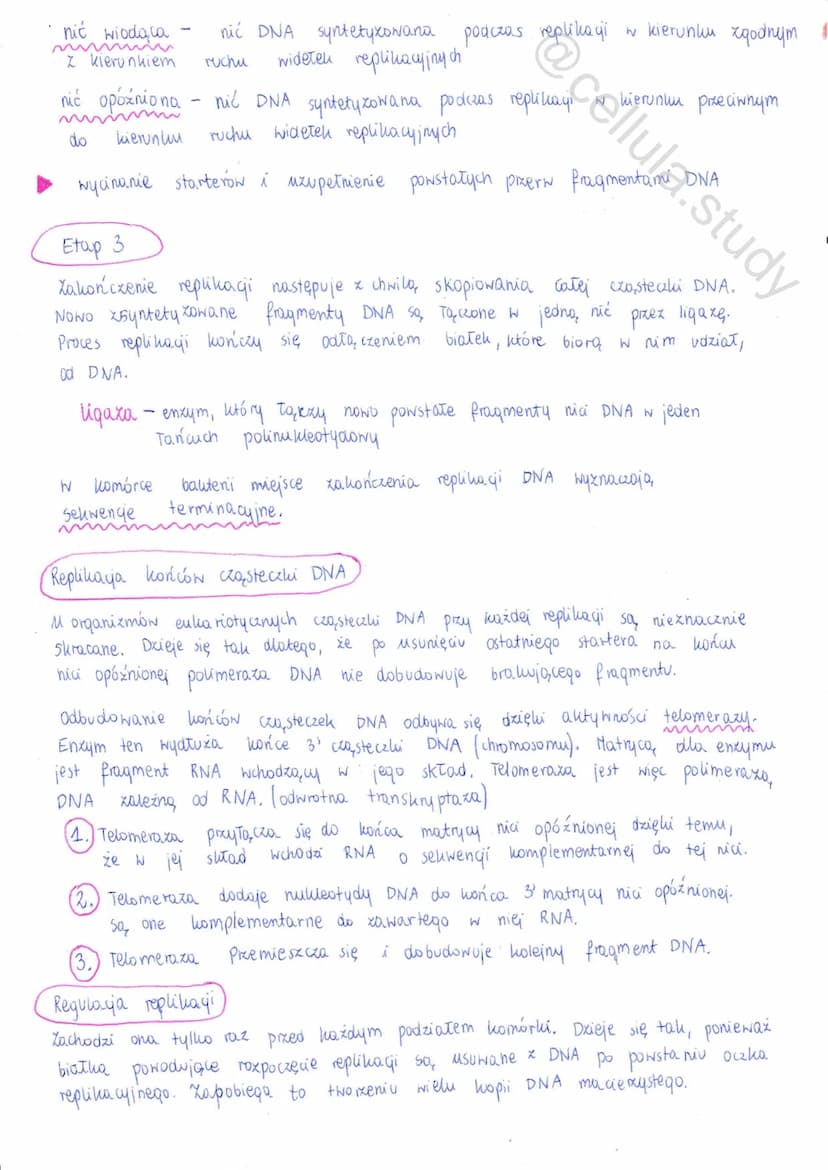 Replikacja DNA
↓
proces powielania DNA prowadzący do wytworzenia dwóch
identycznych z cząsteczko, macierzystą
个个
сеспи неринаст DNA
↳ Zachod