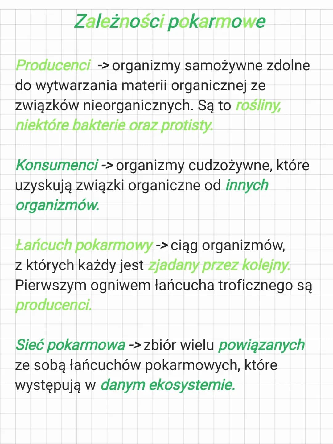 Zależności pokarmowe - biologia kl.8 🦎