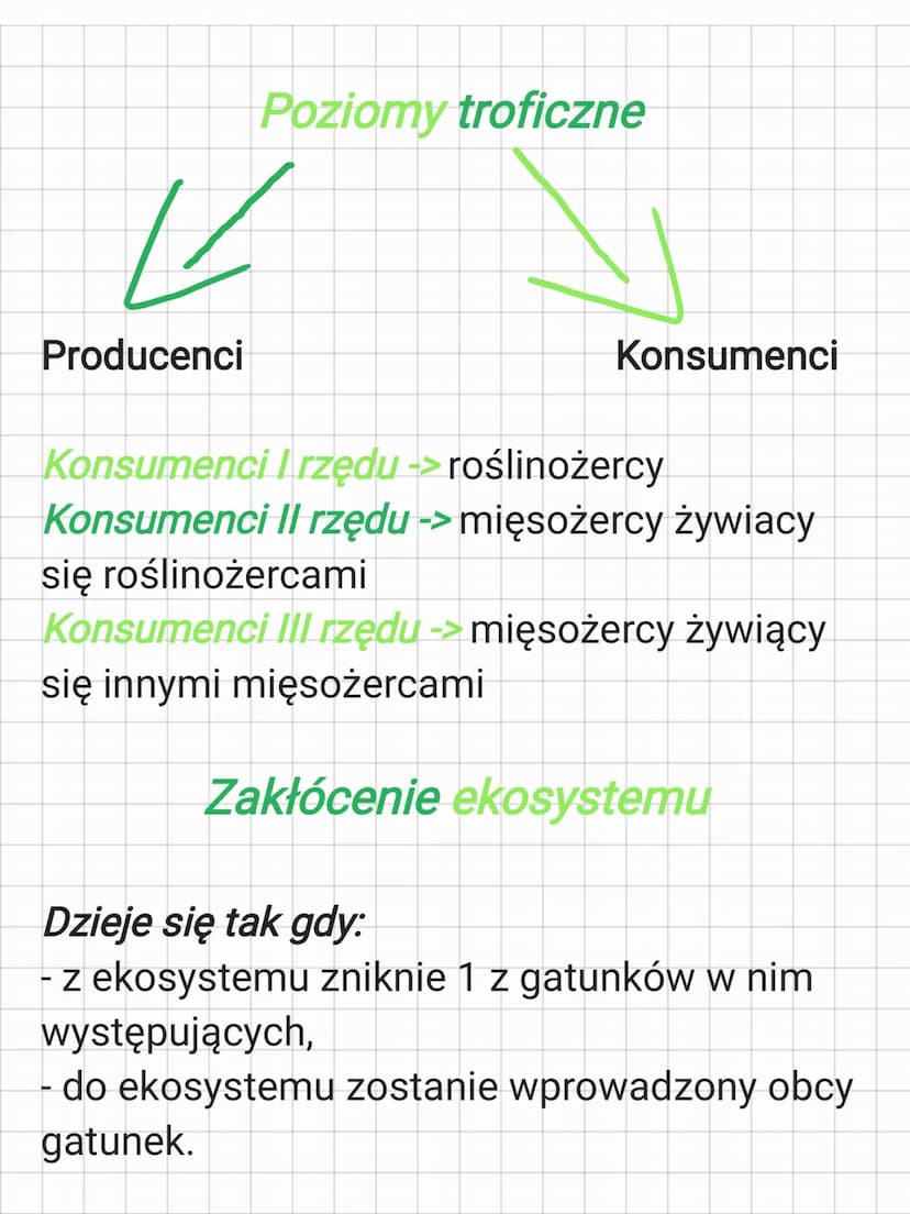 Zależności pokarmowe
Producenci -> organizmy samożywne zdolne
do wytwarzania materii organicznej ze
związków nieorganicznych. Są to rośliny,
