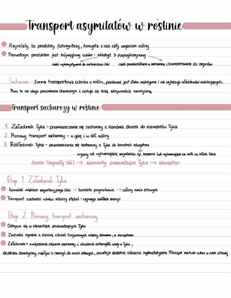 Know Transport asymilatów w roślinie  thumbnail