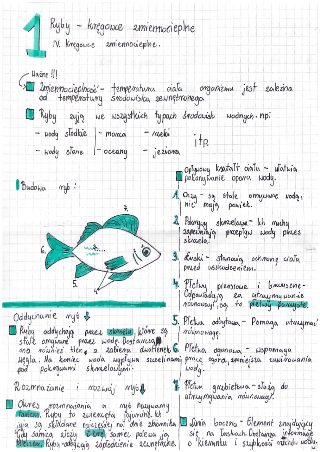 Ryby - kręgowce zmierocieplne
IV. Kręgowce zmiennocieplne.
Ważne !!!
organizmu jest zalezina
>2miennocieplnose' - temperatura ciała
od tempe