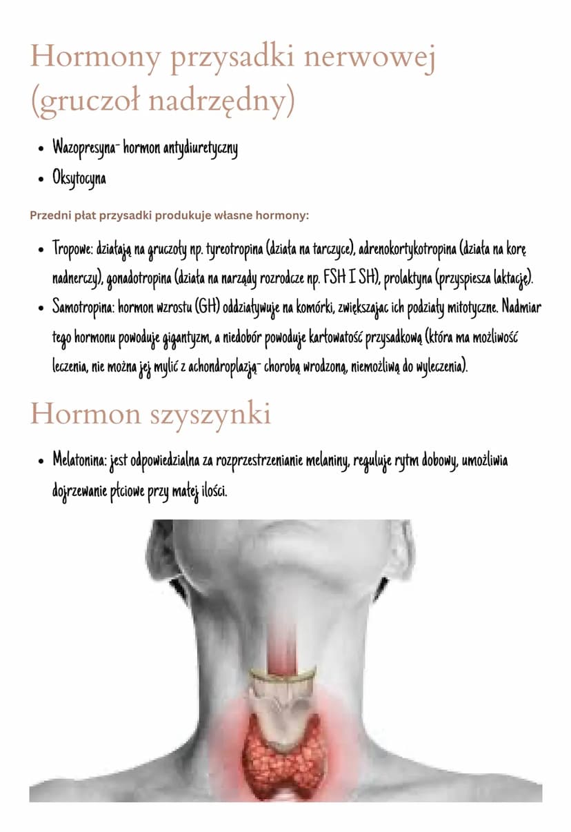 Układ hormonalny
Jest on zbudowany z gruczołów dokrewnych
Hormony- zmieniają aktywność komórek, są produkowane przez wszystkie komórki.
Insu